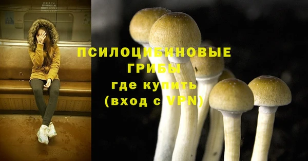 apvp Козловка