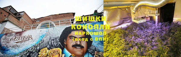 apvp Козловка